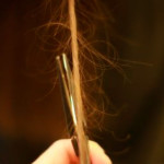 Волосы секутся по всей длине (способы лечения)